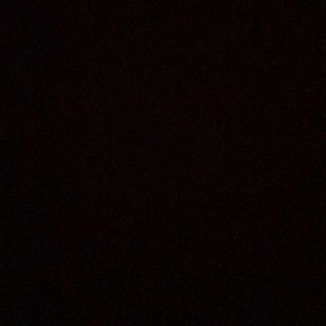 Meet your Posher, Gavin